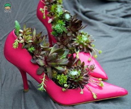 Những đôi giày nở hoa