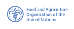 FAO kêu gọi giảm bớt sự lãng phí thực phẩm